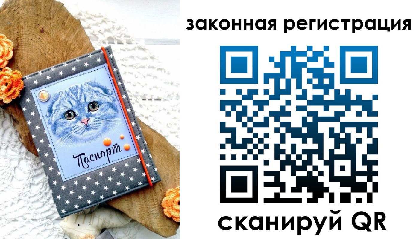 регистрация в Шарье